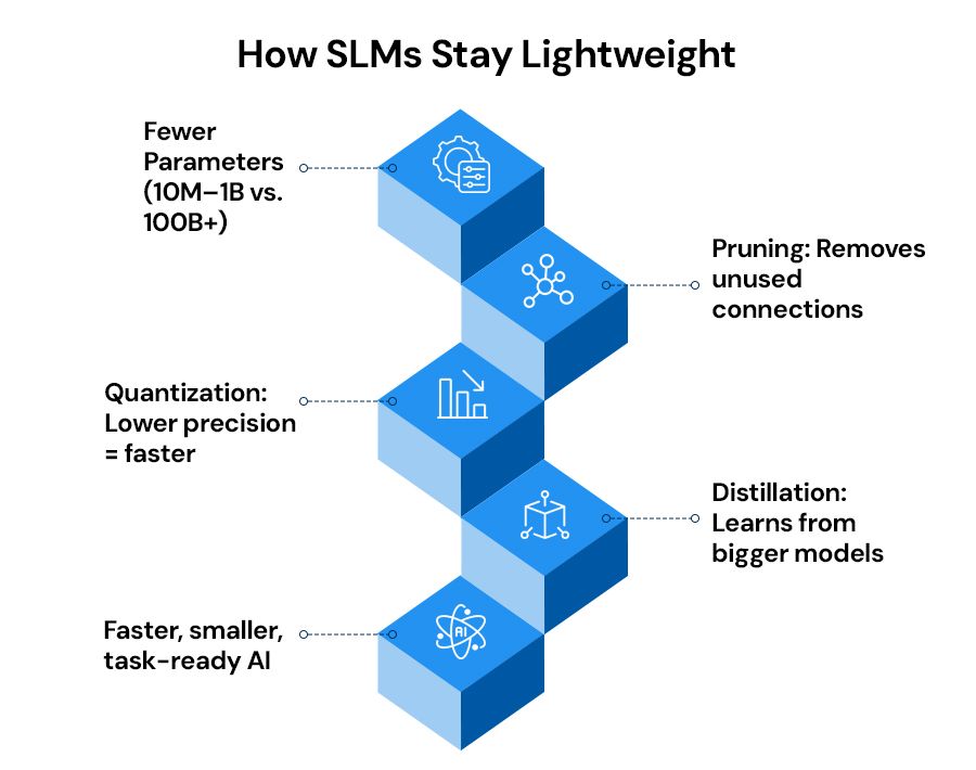 How-SLMs-Stay-Lightweight