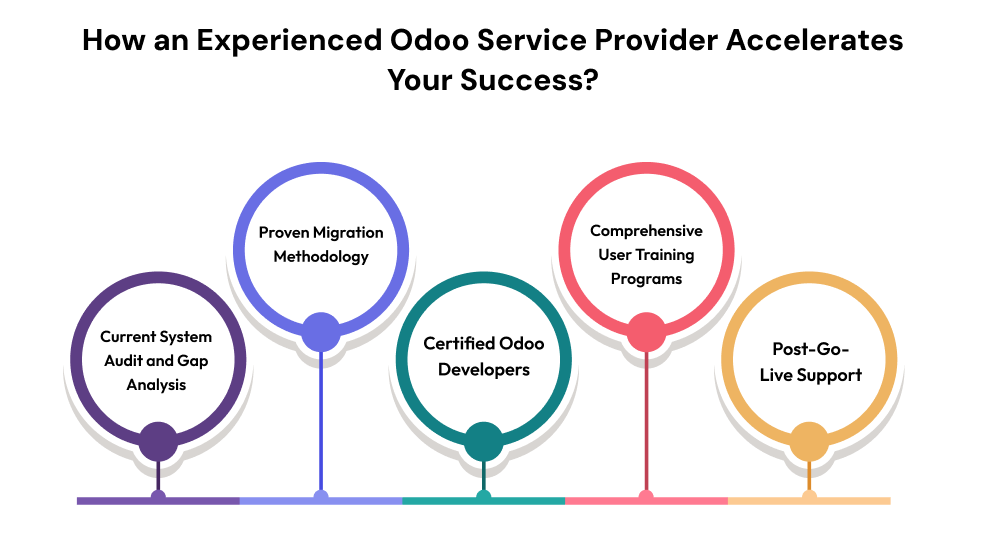 How an Experienced Odoo Service Provider Accelerates Your Success_.png